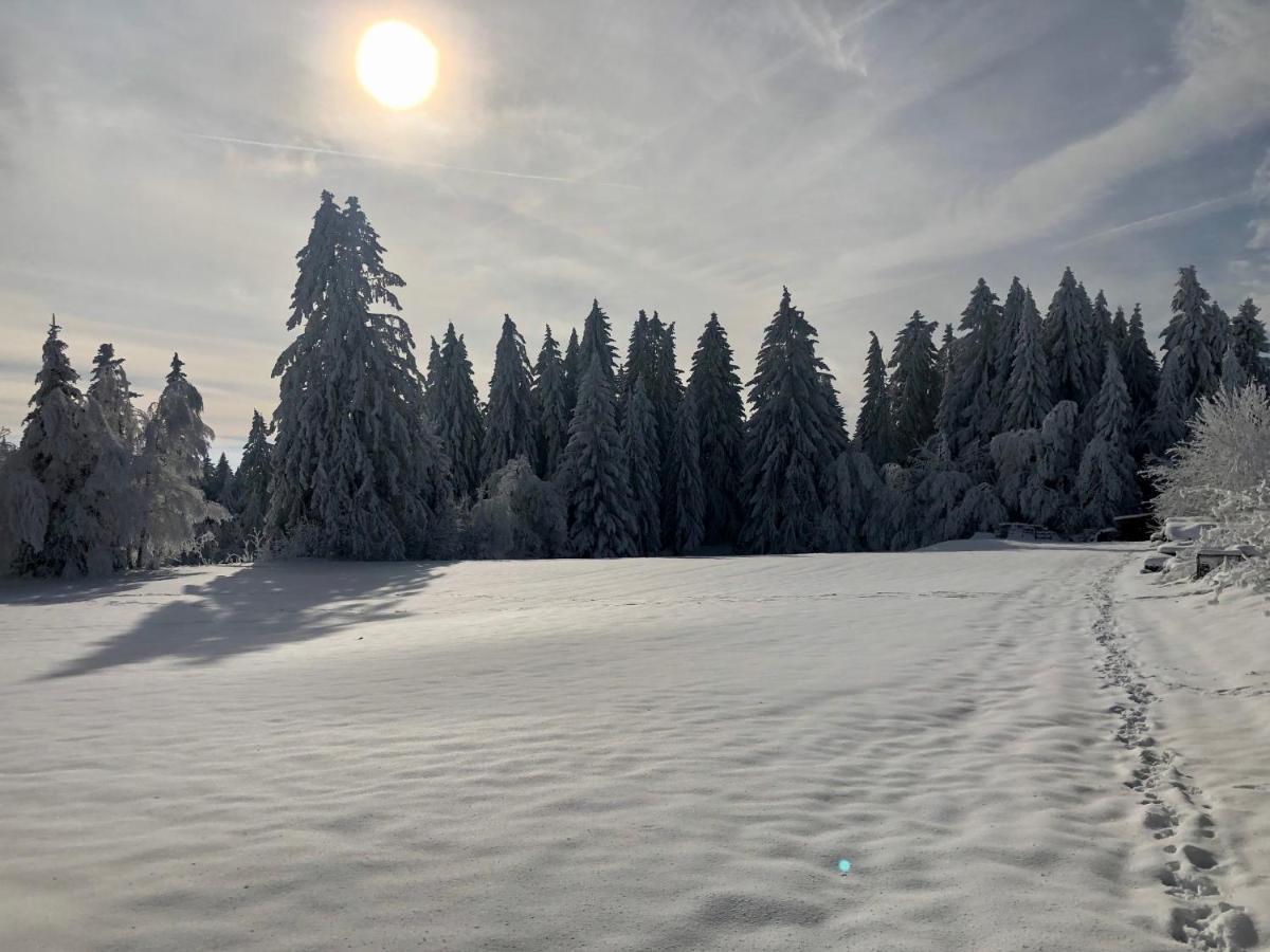 Bergstern Villa Freudenstadt Bagian luar foto