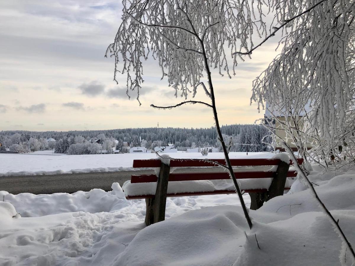 Bergstern Villa Freudenstadt Bagian luar foto